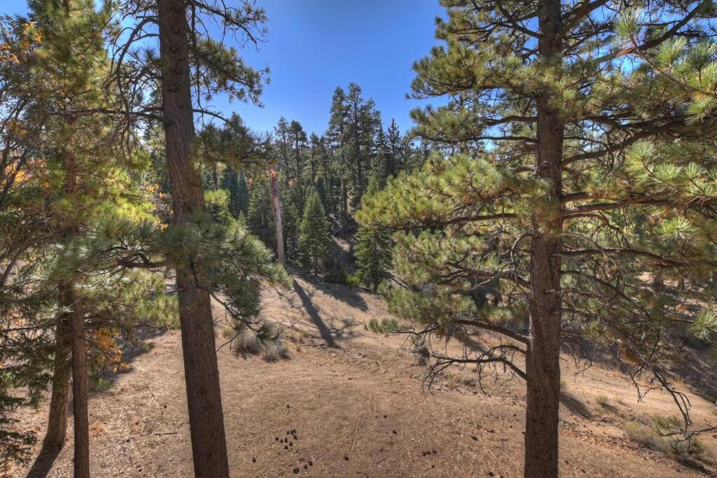 ビッグ・ベアー・レイク Everwood Serenity Treehouse Ontrail Head/Sleddingヴィラ エクステリア 写真